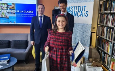 Nagrada Francuskog instituta