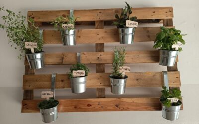 Viseći vrtovi sa začinima u našoj školi