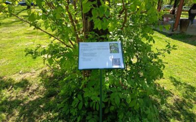 Edukativne ploče za stabla u školskom arboretumu